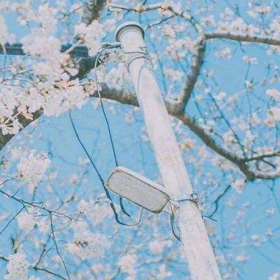 vivo终结者2审判日游戏下载
